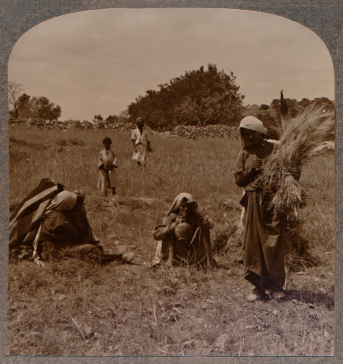 Ruth glanant dans les Champs de Booz, vers 1900 - Unbekannt