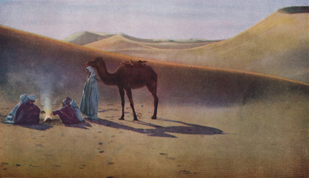Sahara, années 1930 - Unbekannt
