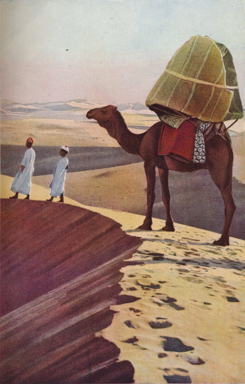 Sahara, années 1930 - Unbekannt