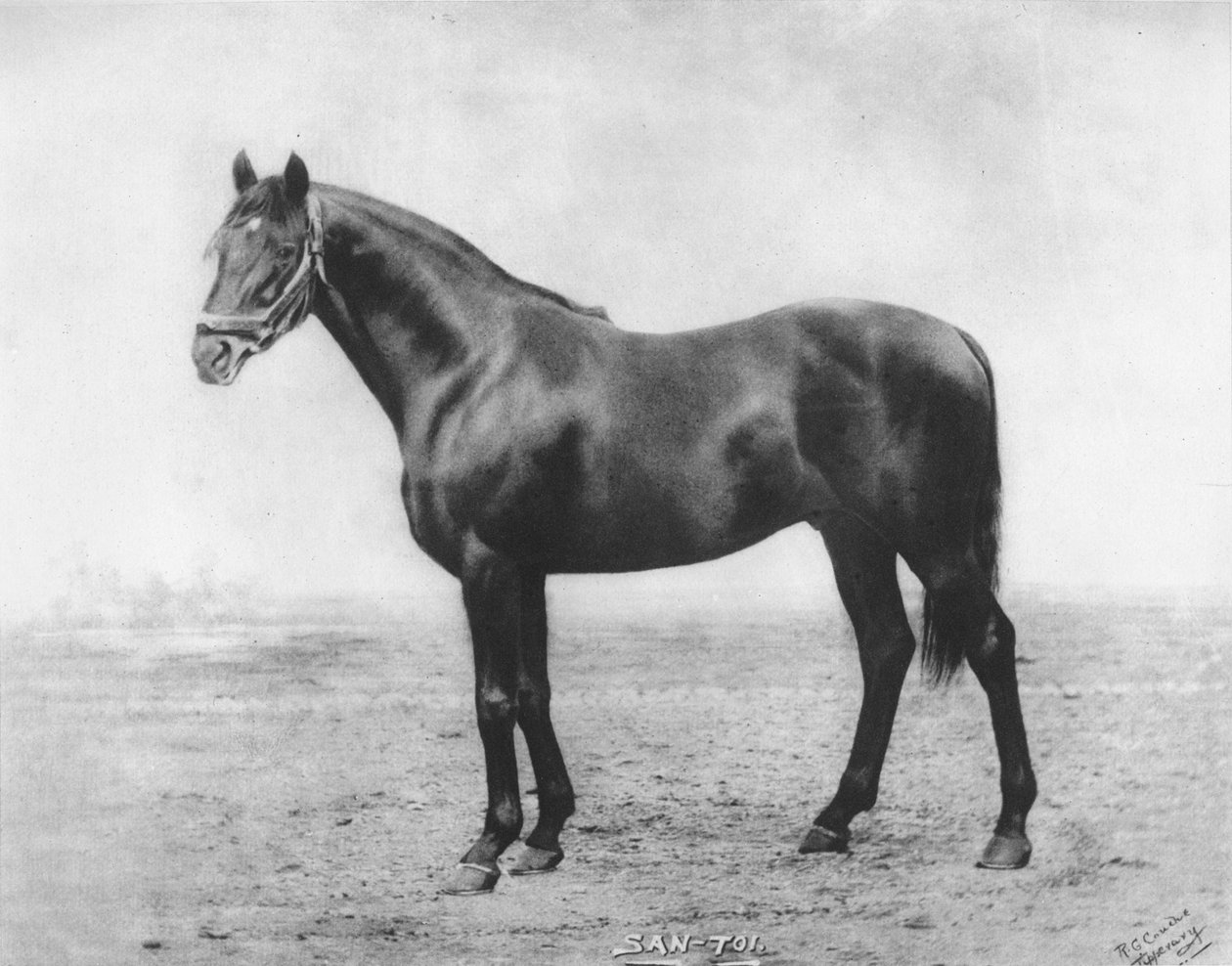 San-Toi, 1911 - Unbekannt