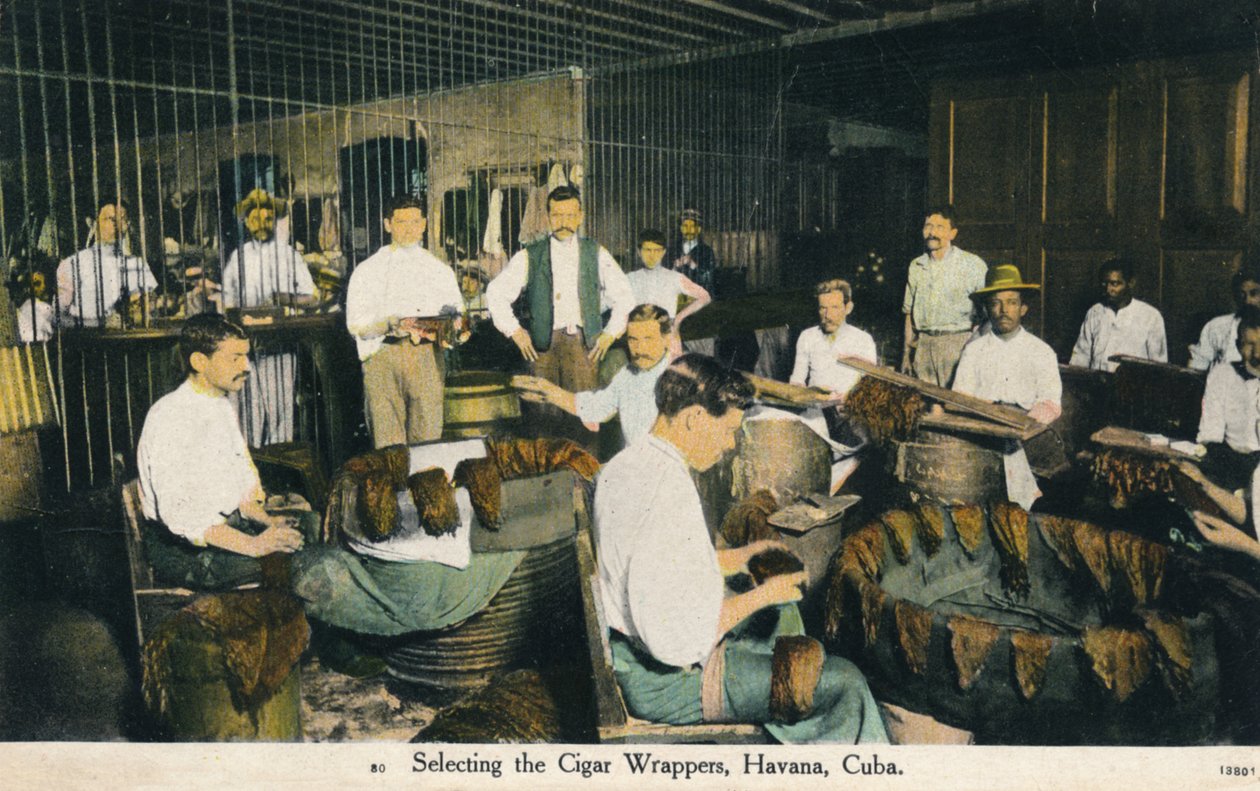 Sélection des enveloppes de cigares, La Havane, Cuba, vers 1910 - Unbekannt