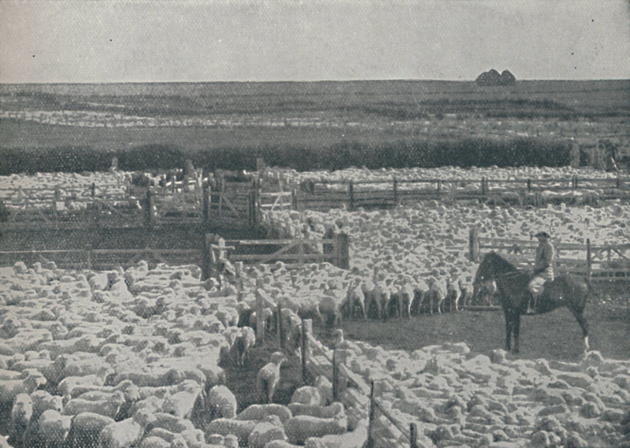 Bergeries en Australie, 1910 - Unbekannt