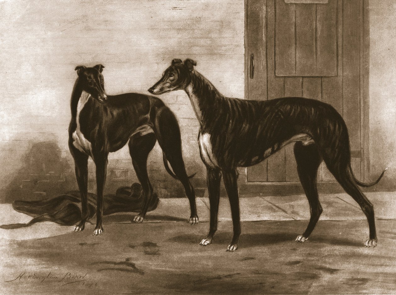 Simonian et Fullerton, vers 1891, 1911 - Unbekannt
