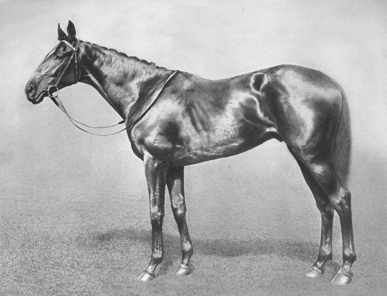 Sir Archibald, 1911 - Unbekannt