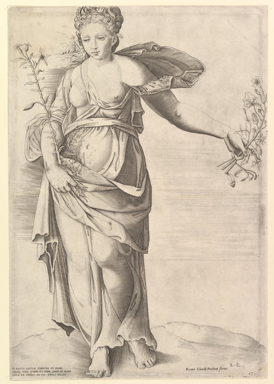 Speculum Romanae Magnificentiae : Flora - Unbekannt