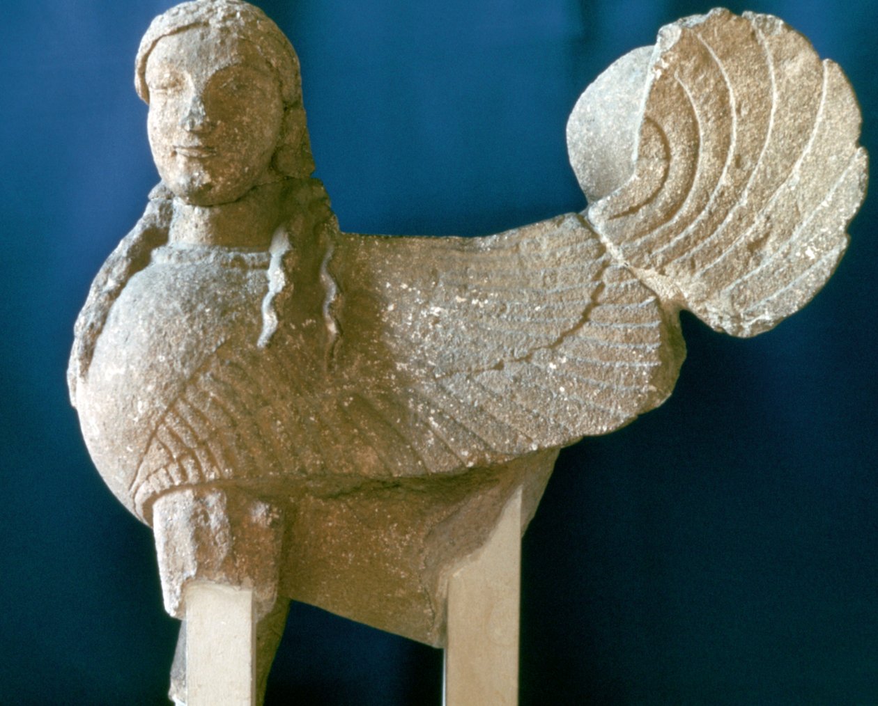 Sphinx de Chypre - Unbekannt