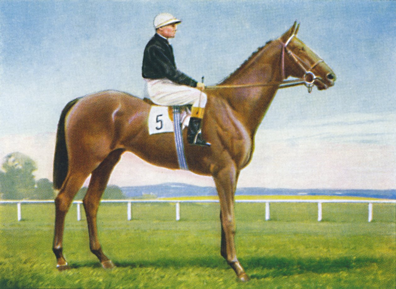 St. Magnus, jockey : R. Perryman, 1939 - Unbekannt