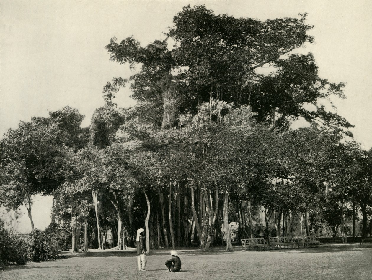 Le Banian, Barrackpore - Unbekannt