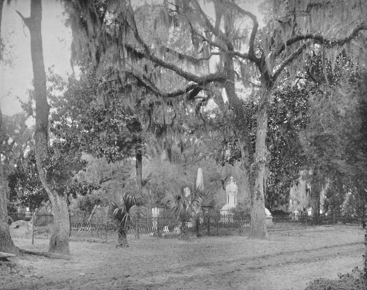 Le cimetière de Bonaventure, 19ème siècle - Unbekannt