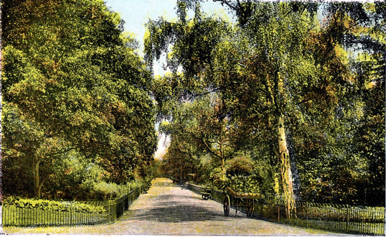 La promenade des fleurs, Kensington Gardens, Londres, 20e siècle - Unbekannt