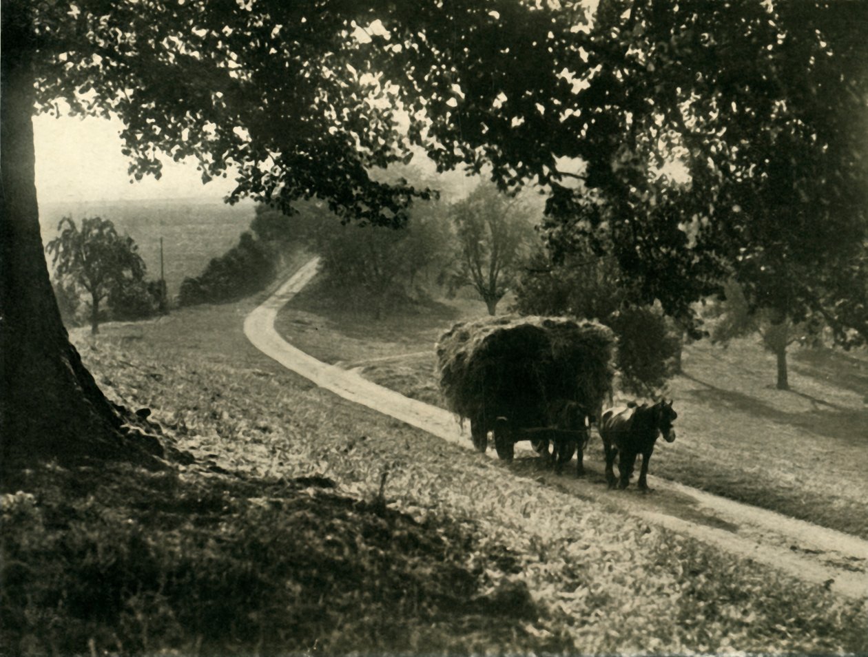 La dernière charge, 1936 - Unbekannt