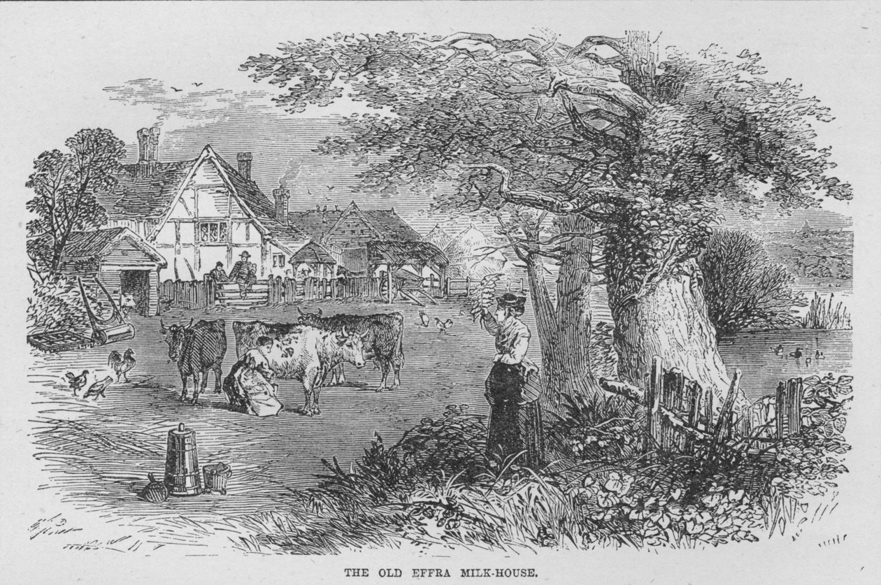 La vieille maison de lait d