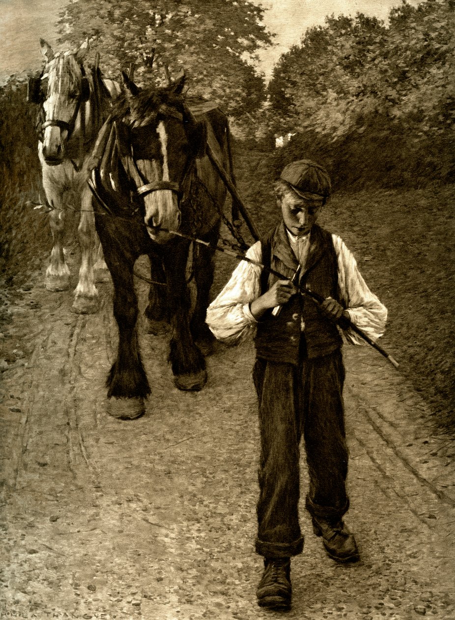 Le garçon de charrue, 1900 - Unbekannt