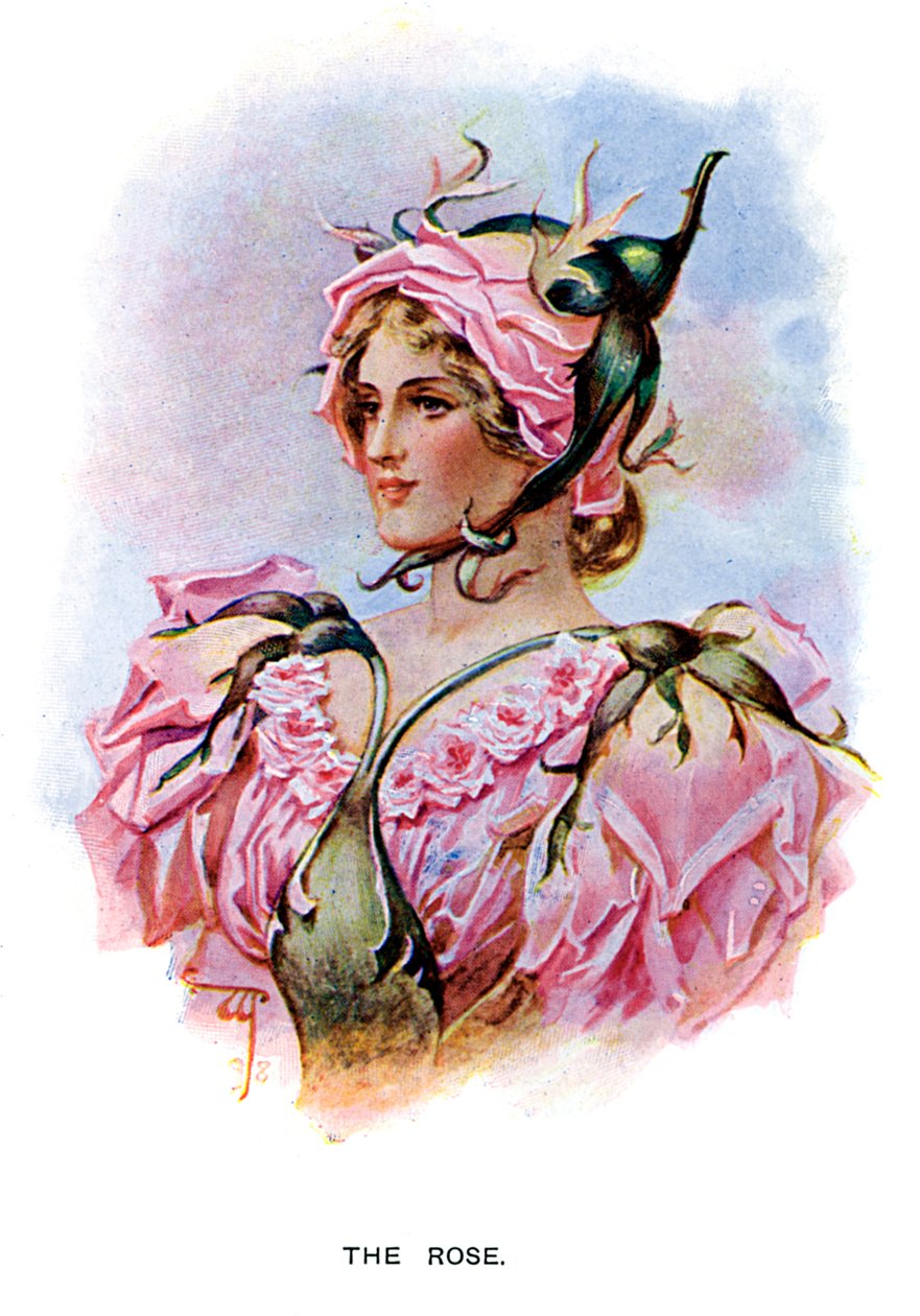 La Rose, 1899 - Unbekannt