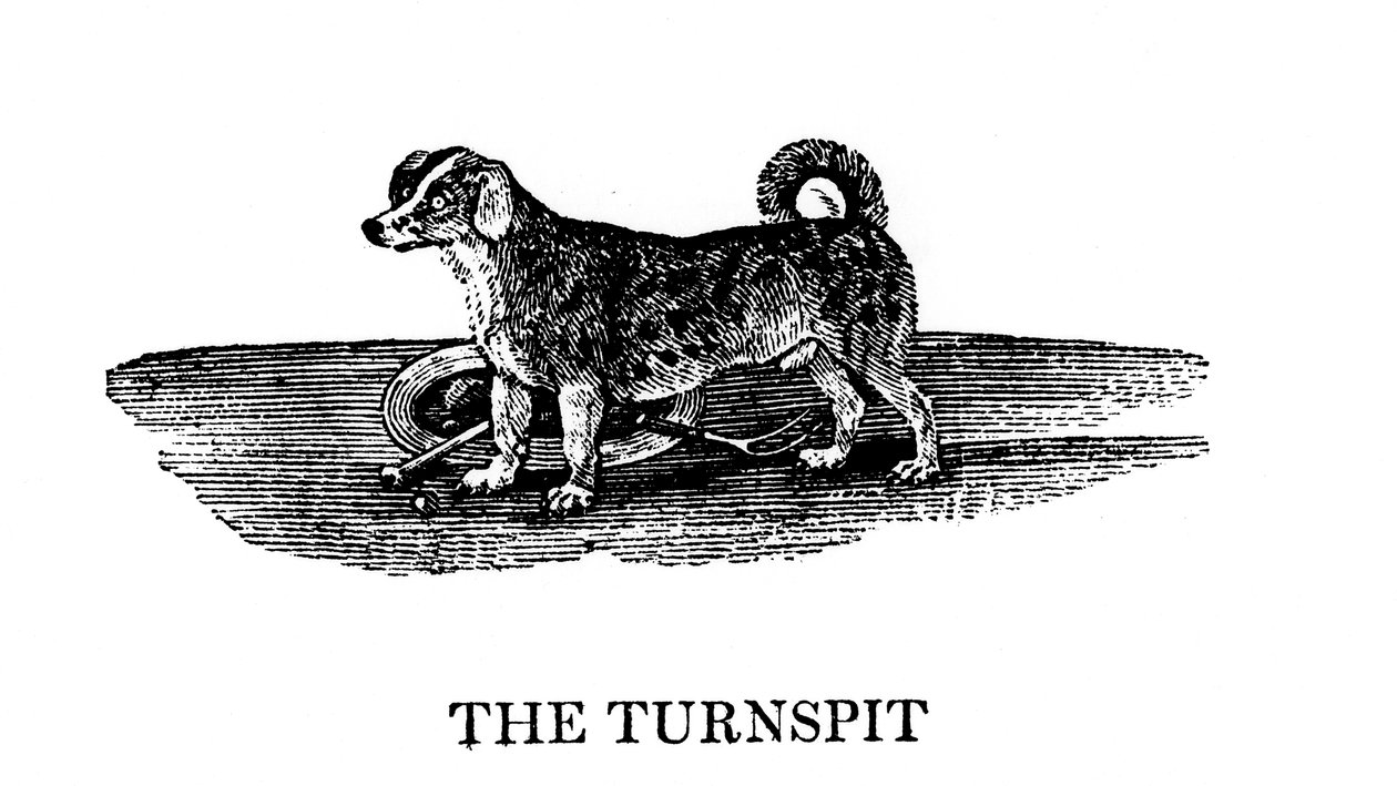 Le Tunspit, 1790 - Unbekannt