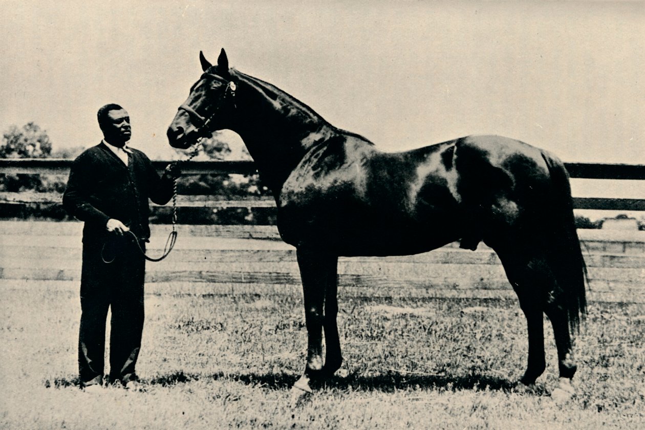 Cheval de course pur-sang, Man O War - Unbekannt