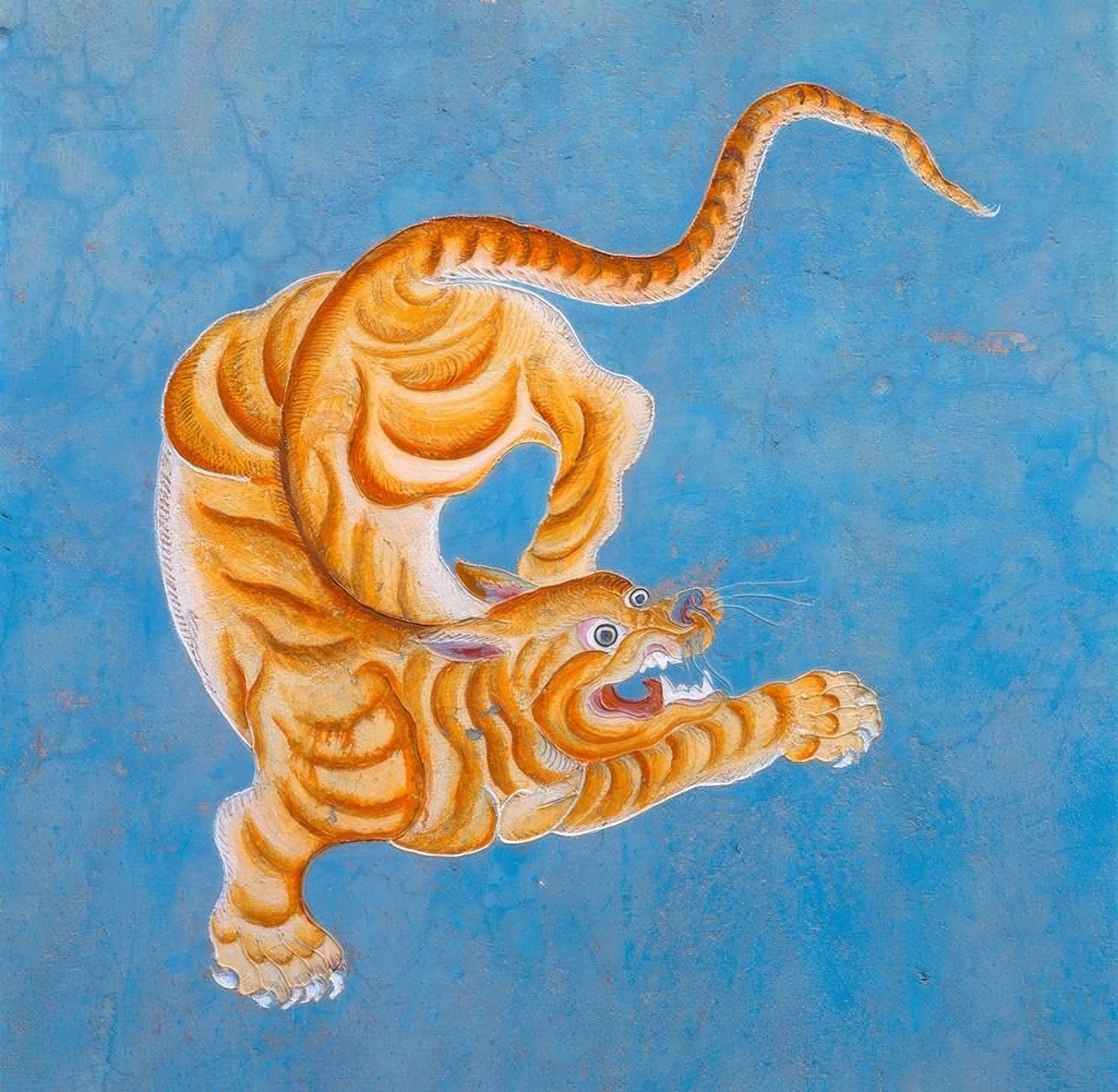 Tigre - Unbekannt