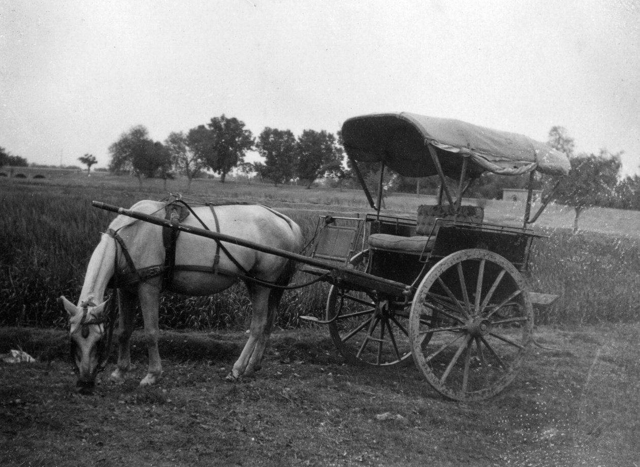 Charrette à cheval Tonga, Muttra, Inde, 1917 - Unbekannt