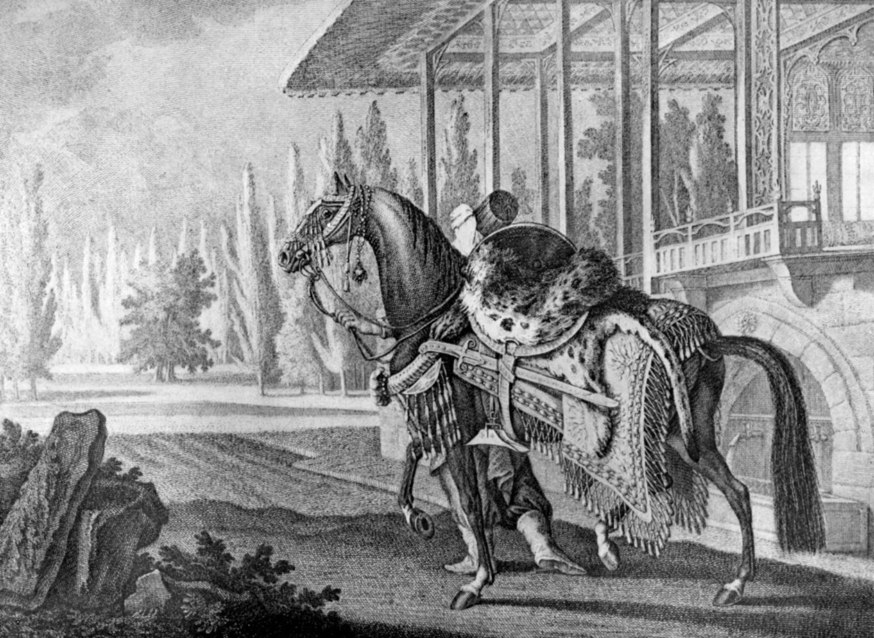 Cheval arabe du pacha turc, 1722 - Unbekannt