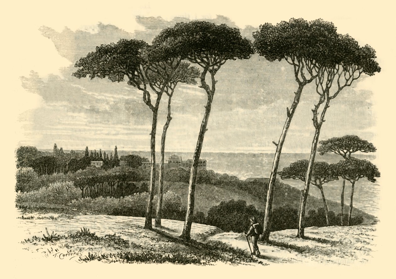Tusculum, 1890 - Unbekannt
