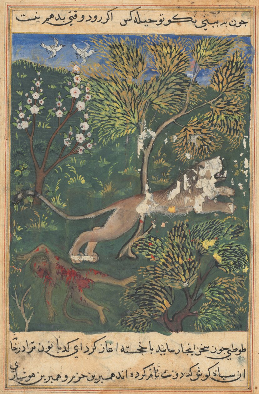 Tuti-Nama (Contes d