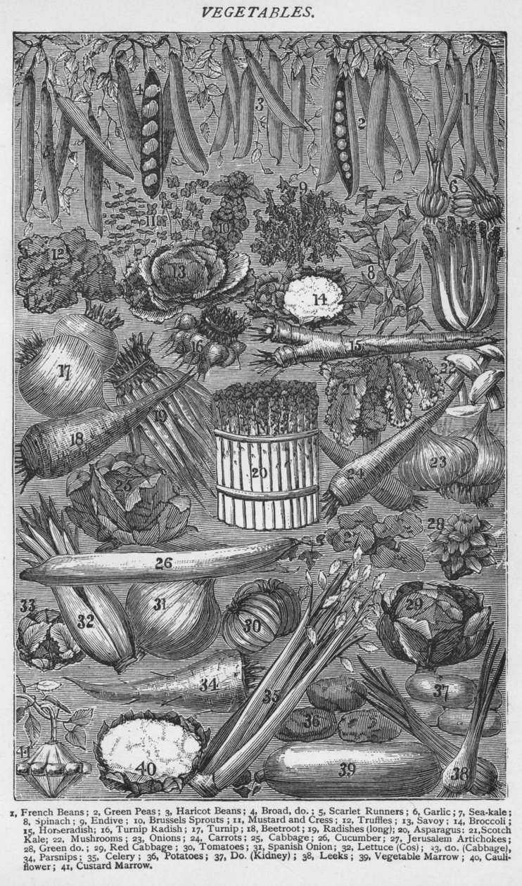 Légumes, 1907 - Unbekannt