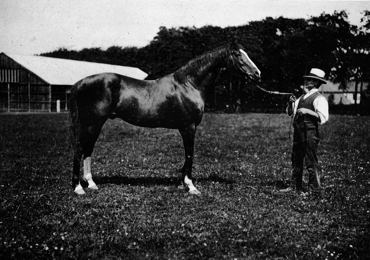 Victor Wild, 1911 - Unbekannt
