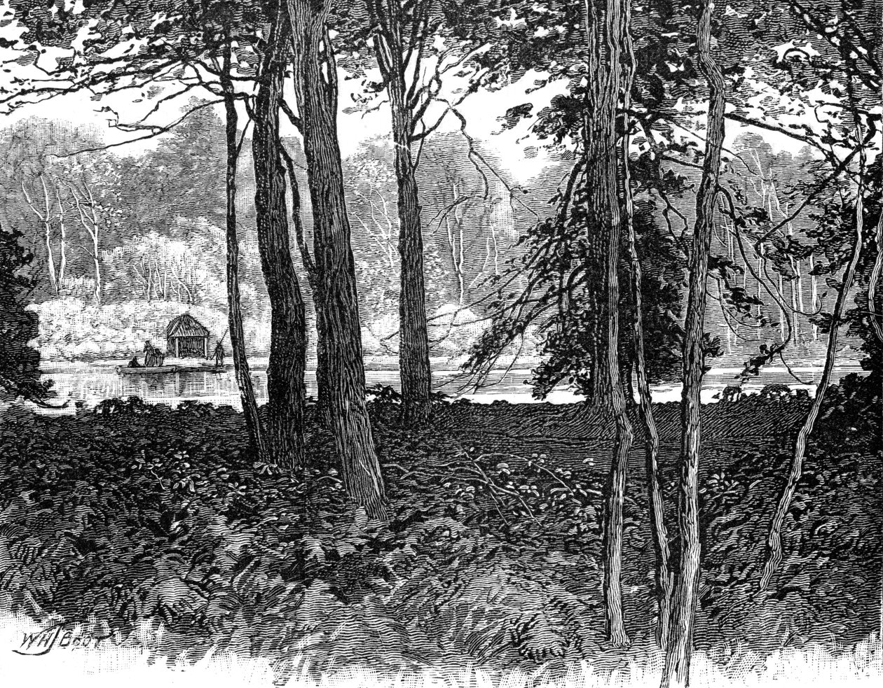 Vue dans le parc de Claremont, Surrey, 1900 - Unbekannt