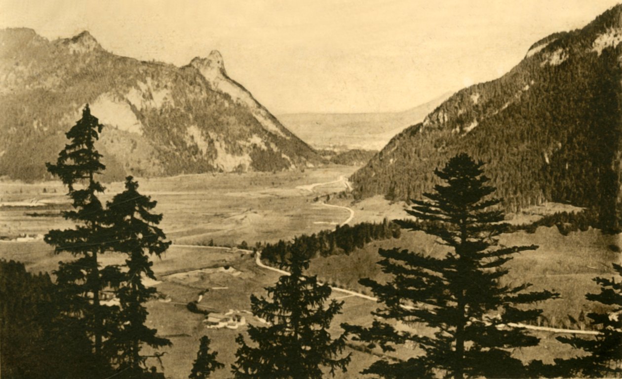 Vue d