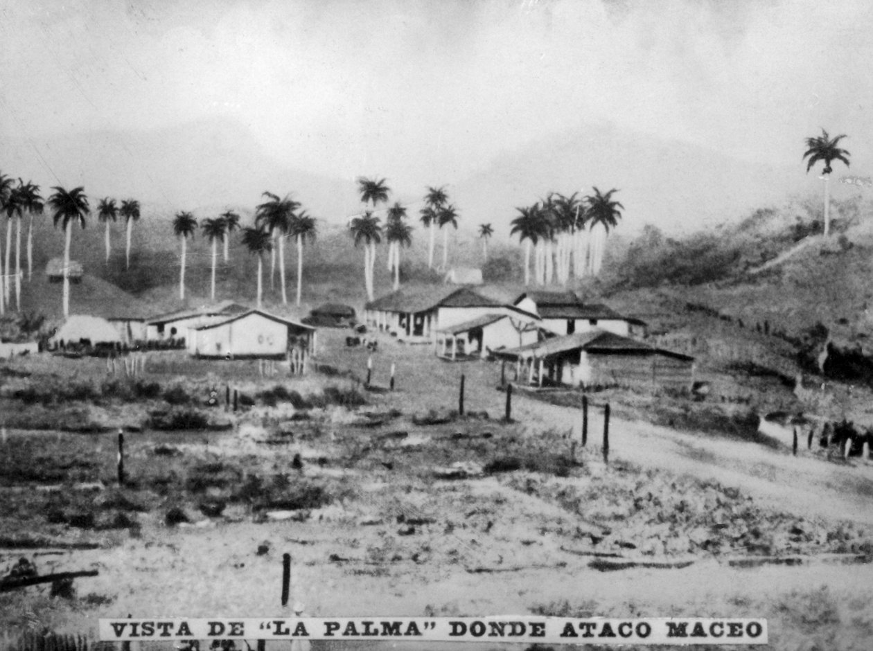 Vue de Palma - Unbekannt