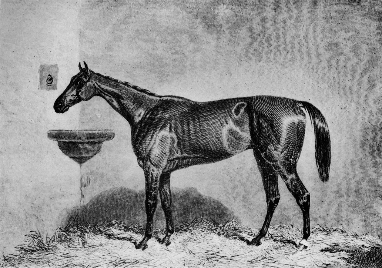 Virago, 1851-1869 - Unbekannt