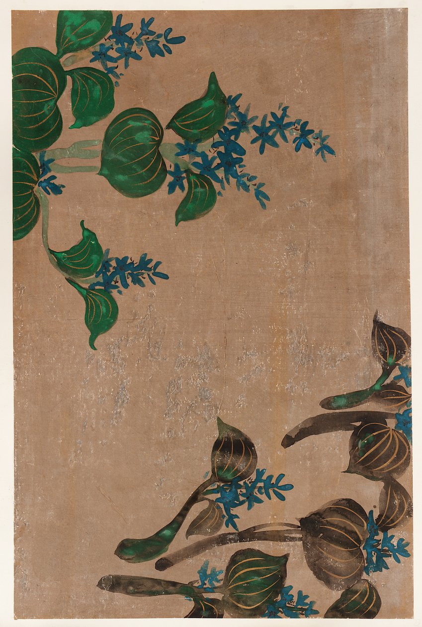 Plantes aquatiques avec fleurs bleues, période Edo, 1615-1868 - Unbekannt
