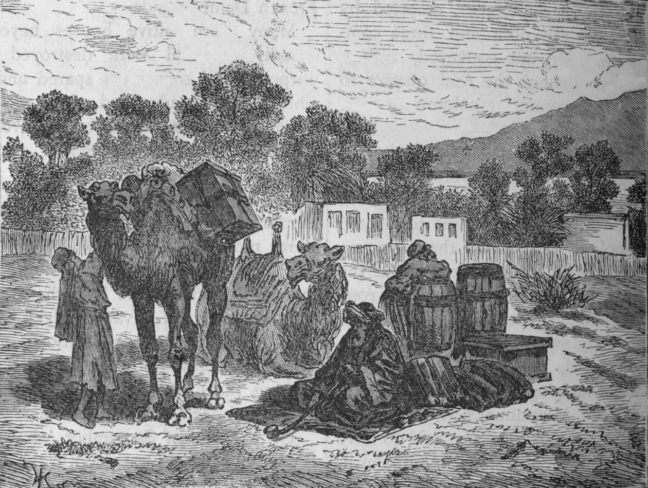 Puits de Moïse, près de Suez, vers 1882 - Unbekannt