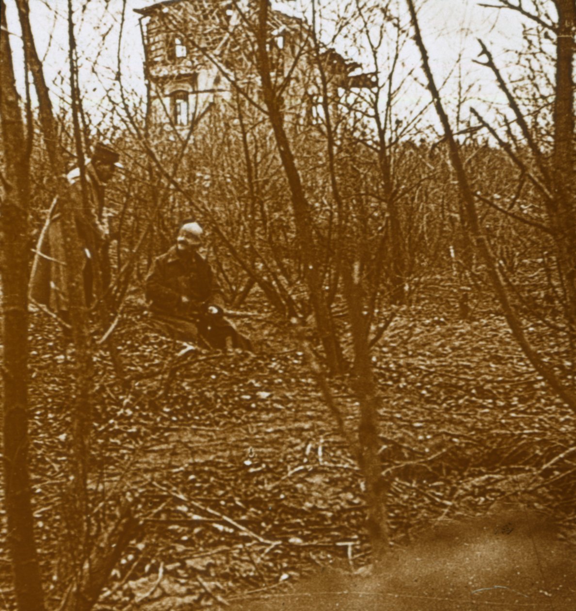 Bois, c1914-c1918 - Unbekannt