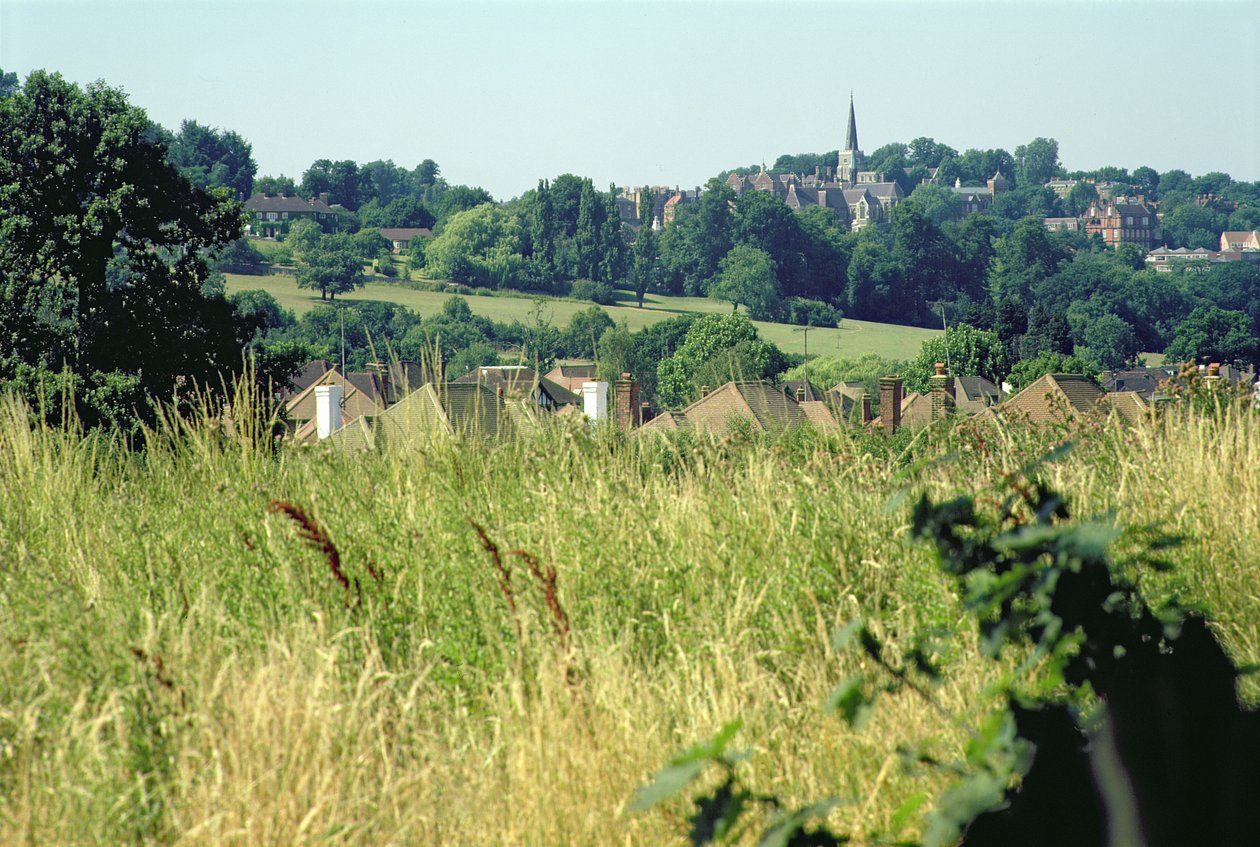 Vue générale de la colline - Unbekannt Unbekannt