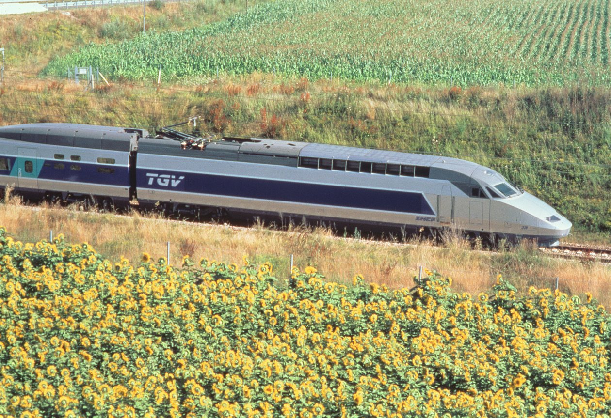 Train TGV Atlantique - Unbekannt Unbekannt