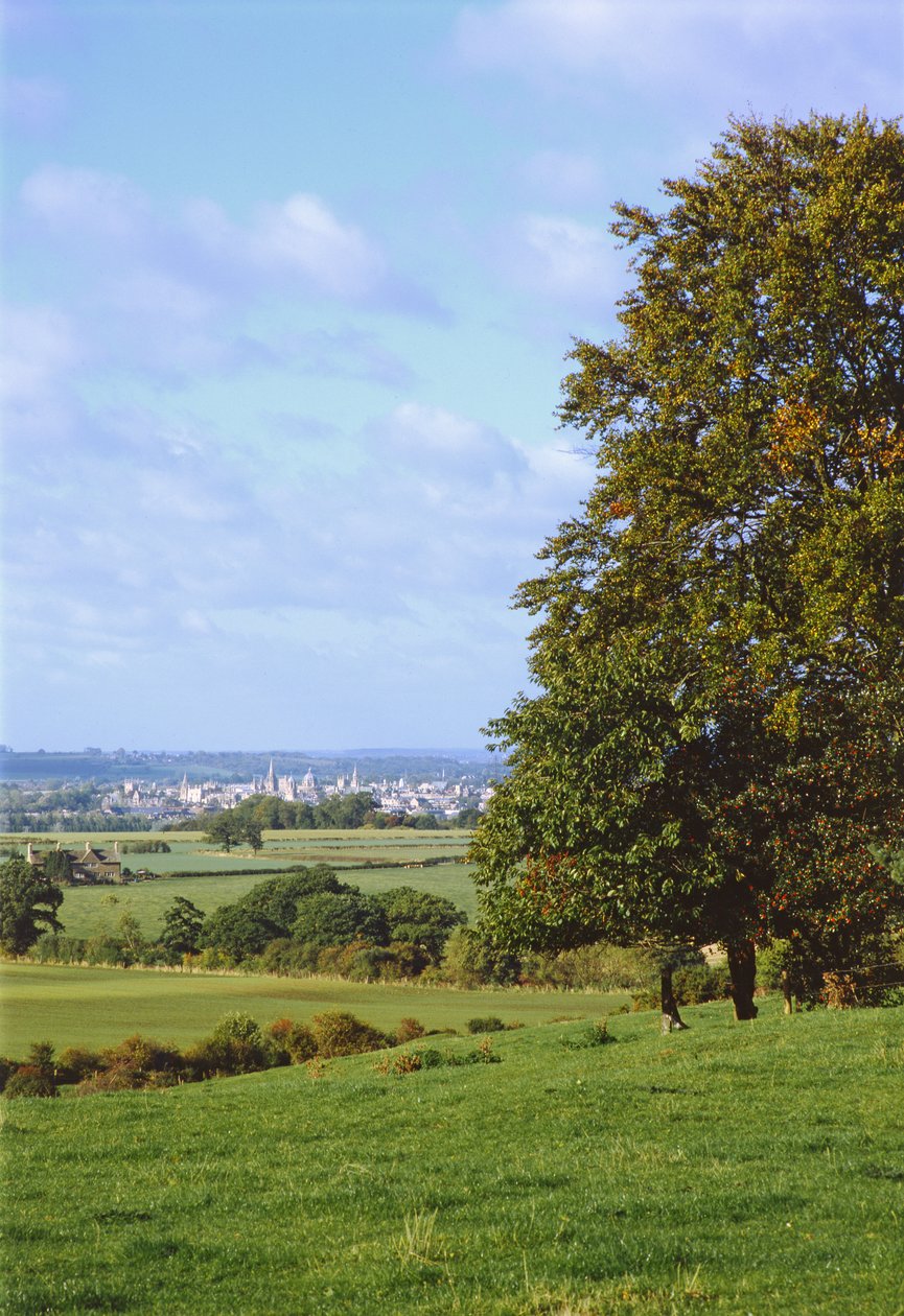 Vue d