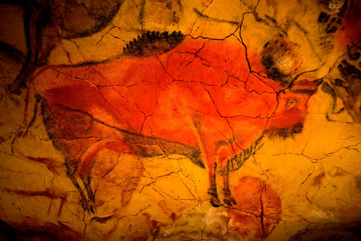 Peinture de bisons dans les grottes d
