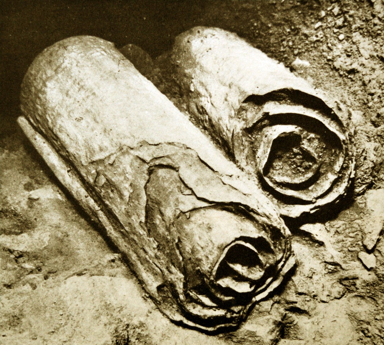 Fouilles des Manuscrits de la mer Morte, 1950 - Unbekannt Unbekannt