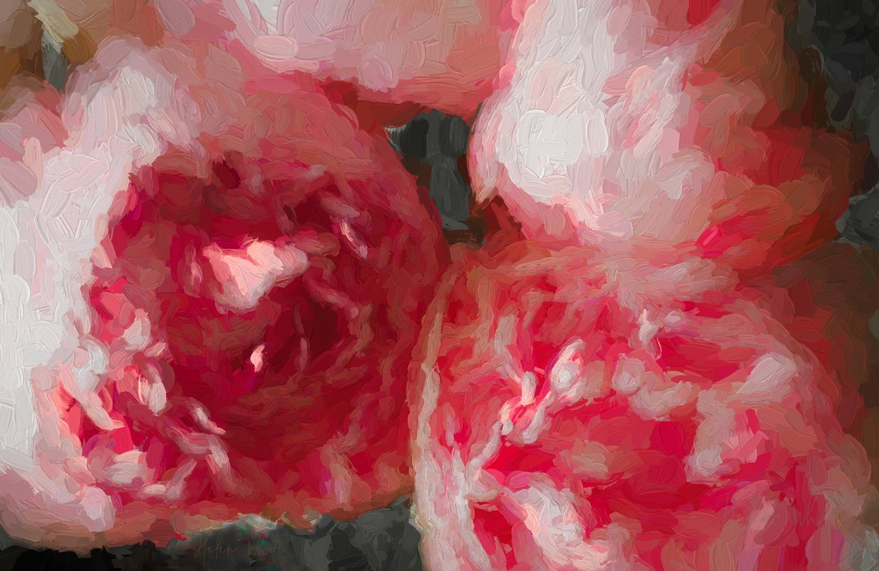 Pivoines roses, 2018 - Unbekannt Unbekannt