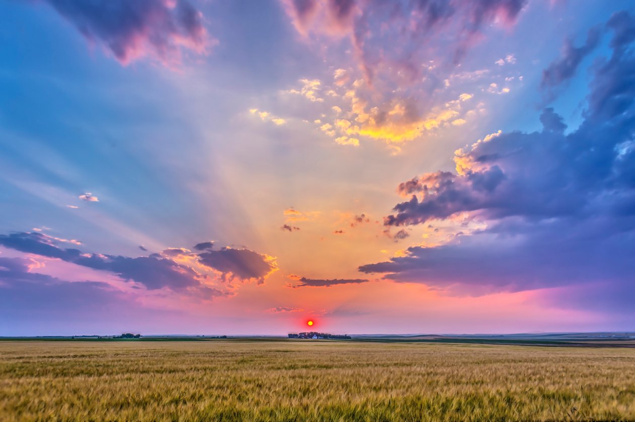 Le soleil couchant rouge dans la brume, projetant des ombres à travers le ciel - rayons crépusculaires - et illuminant les nuages, sur un champ de blé mûrissant près de chez moi en Alberta, 6 août 2014 - Unbekannt Unbekannt
