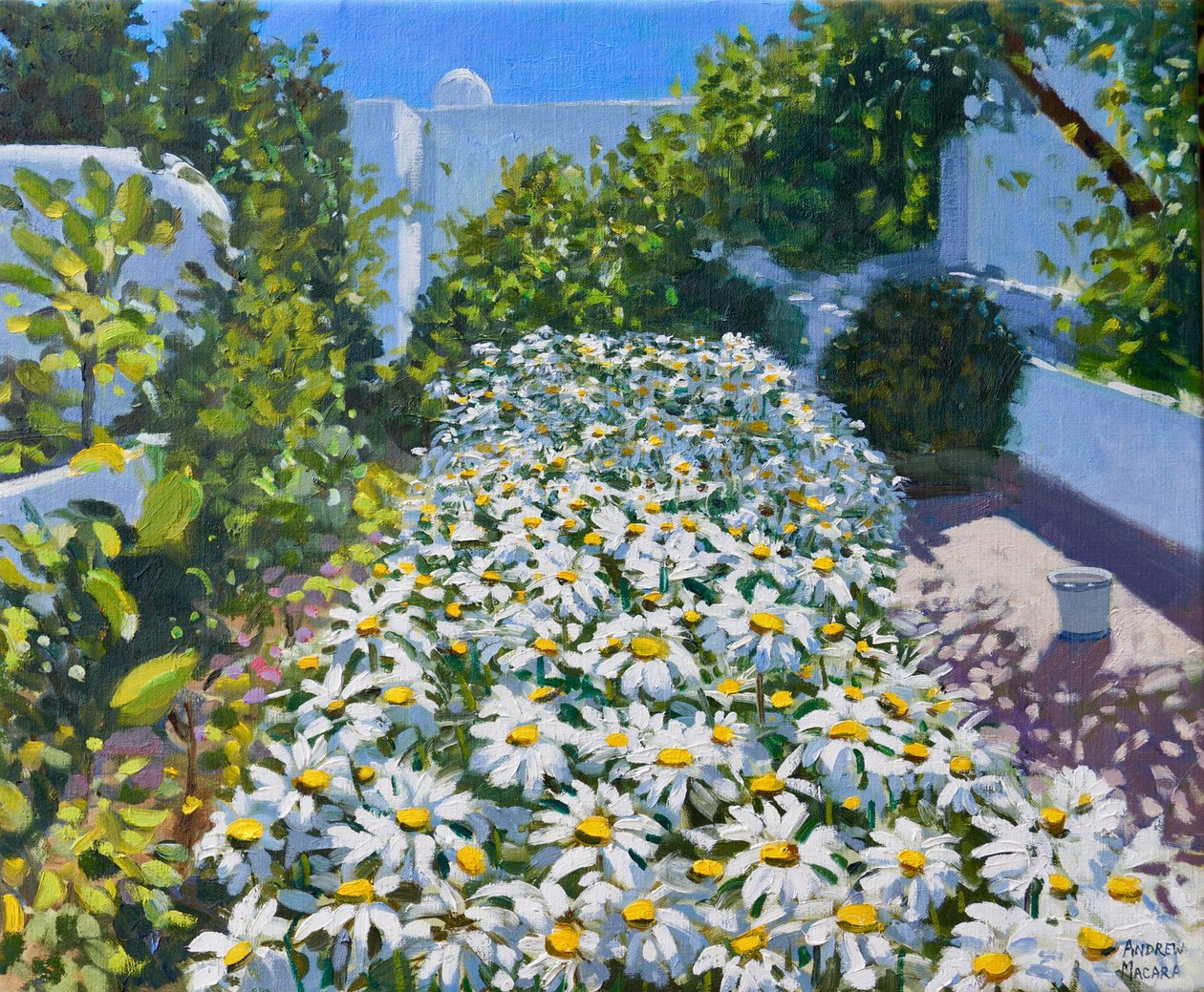 Image inconnue - Unbekannt Unbekannt