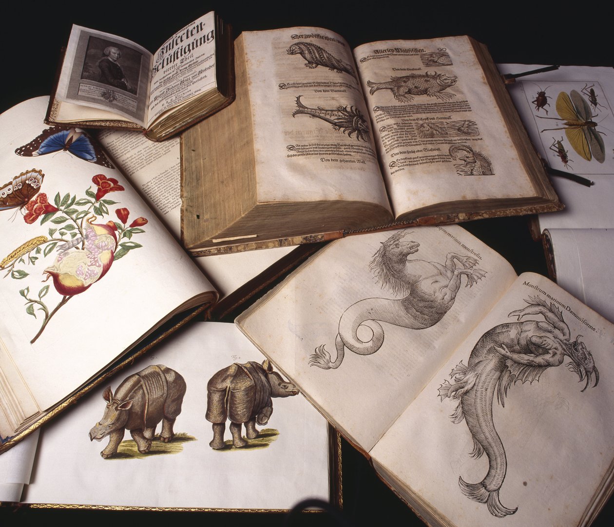Livres de zoologie ancienne - Unbekannt