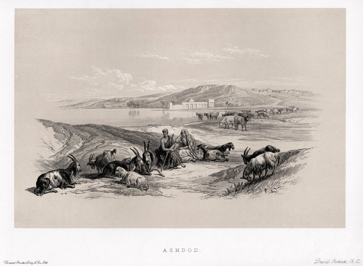 Ashdod par David - Unbekannter Künstler