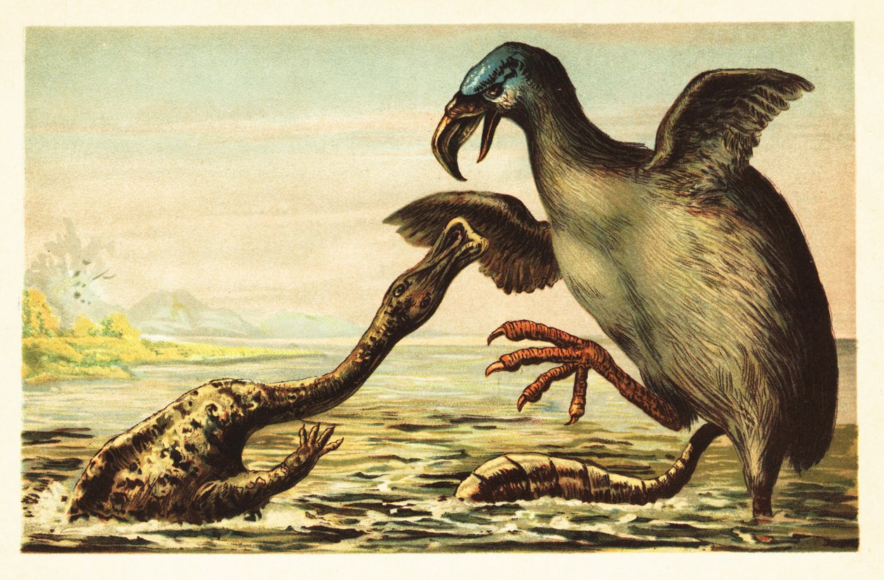 Brontornis combattant un Hadrosaurus. 1908 - Unbekannter Künstler