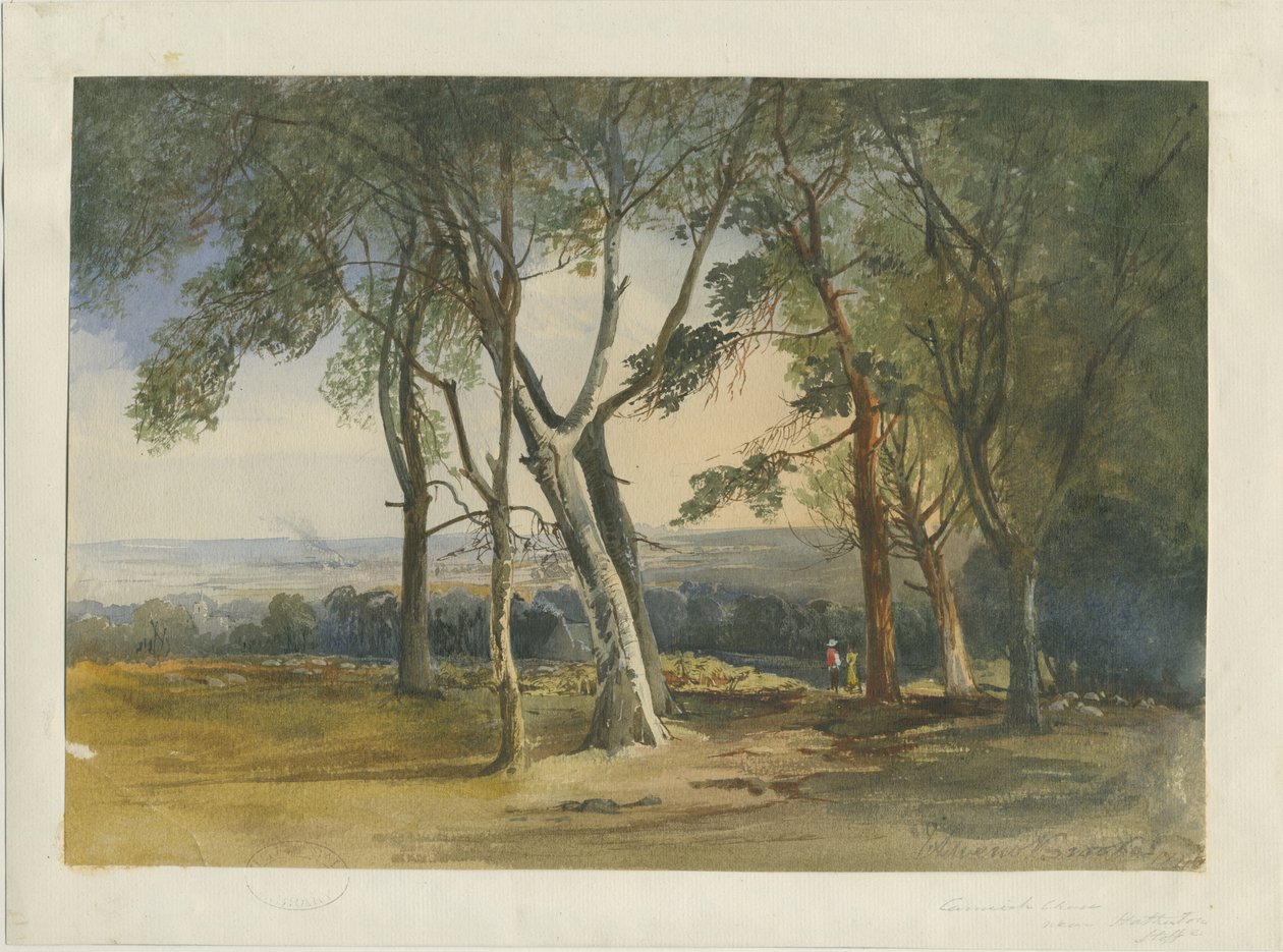 Cannock Chase - Unbekannt