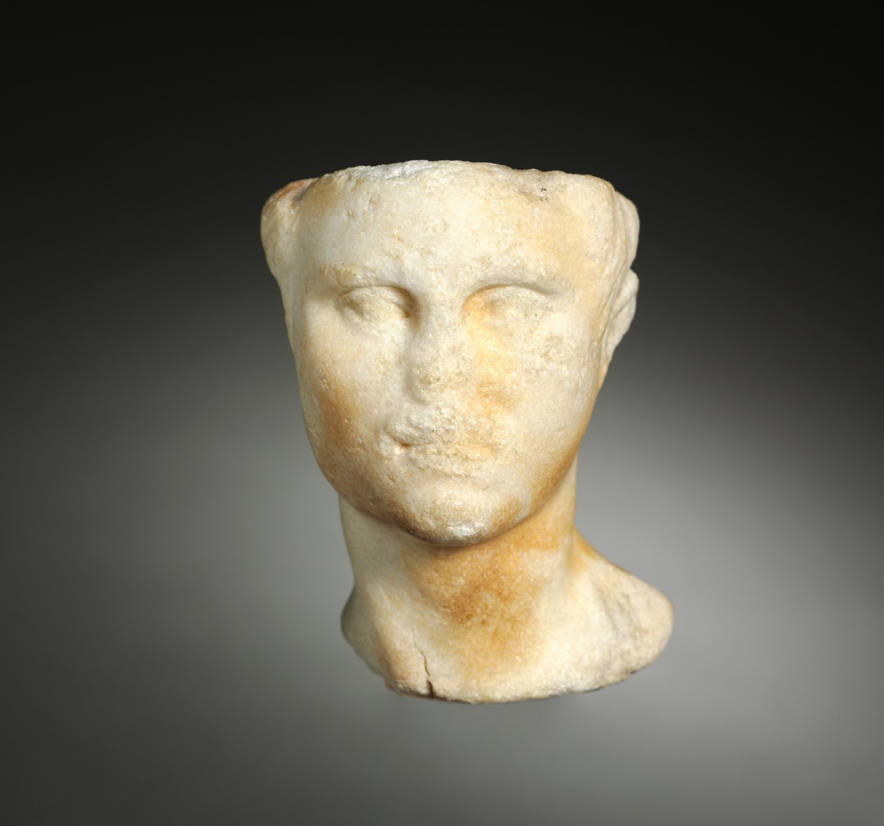 Fragment : tête d