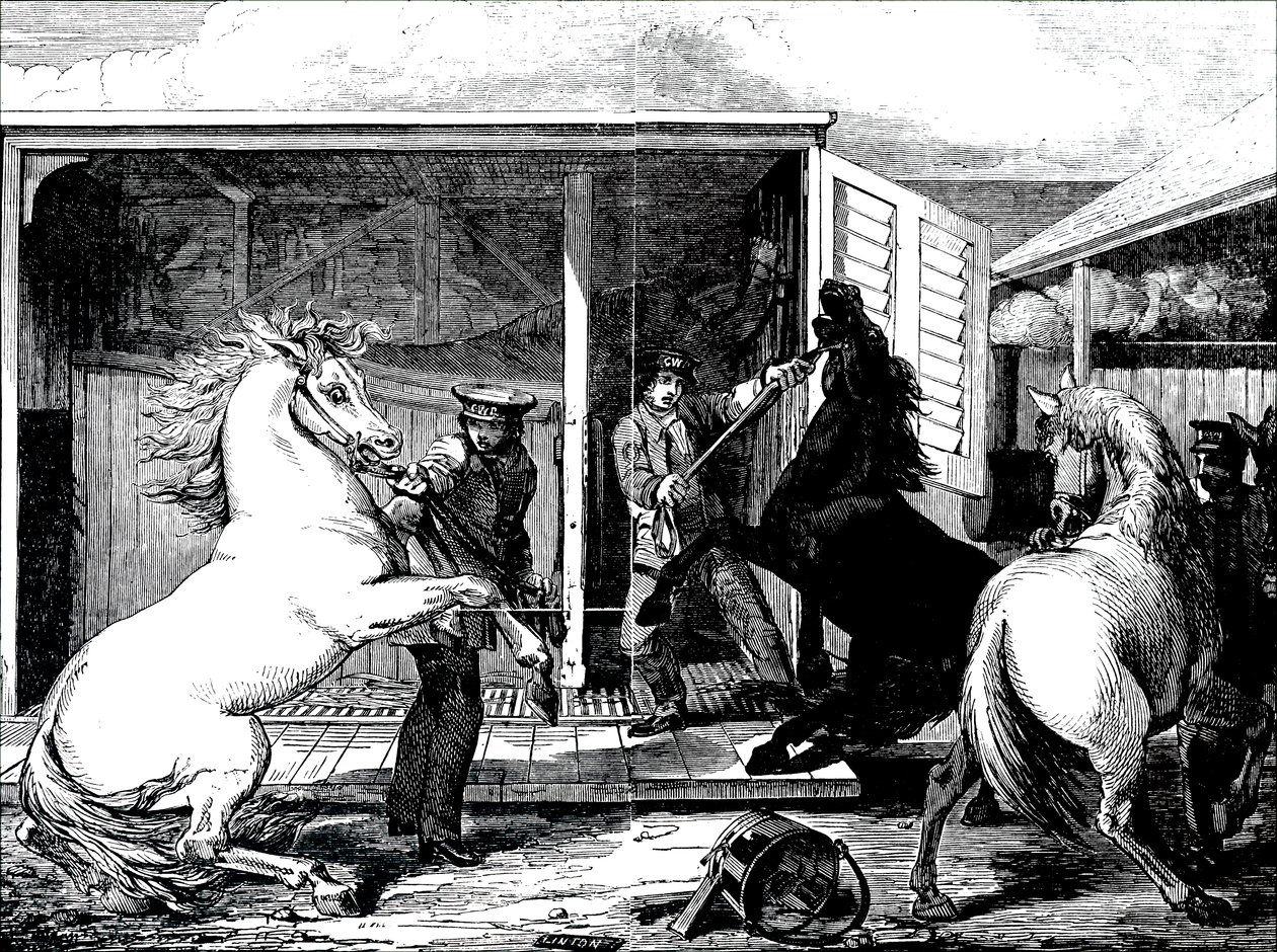 Chevaux à la gare de Gloucester - Unbekannt
