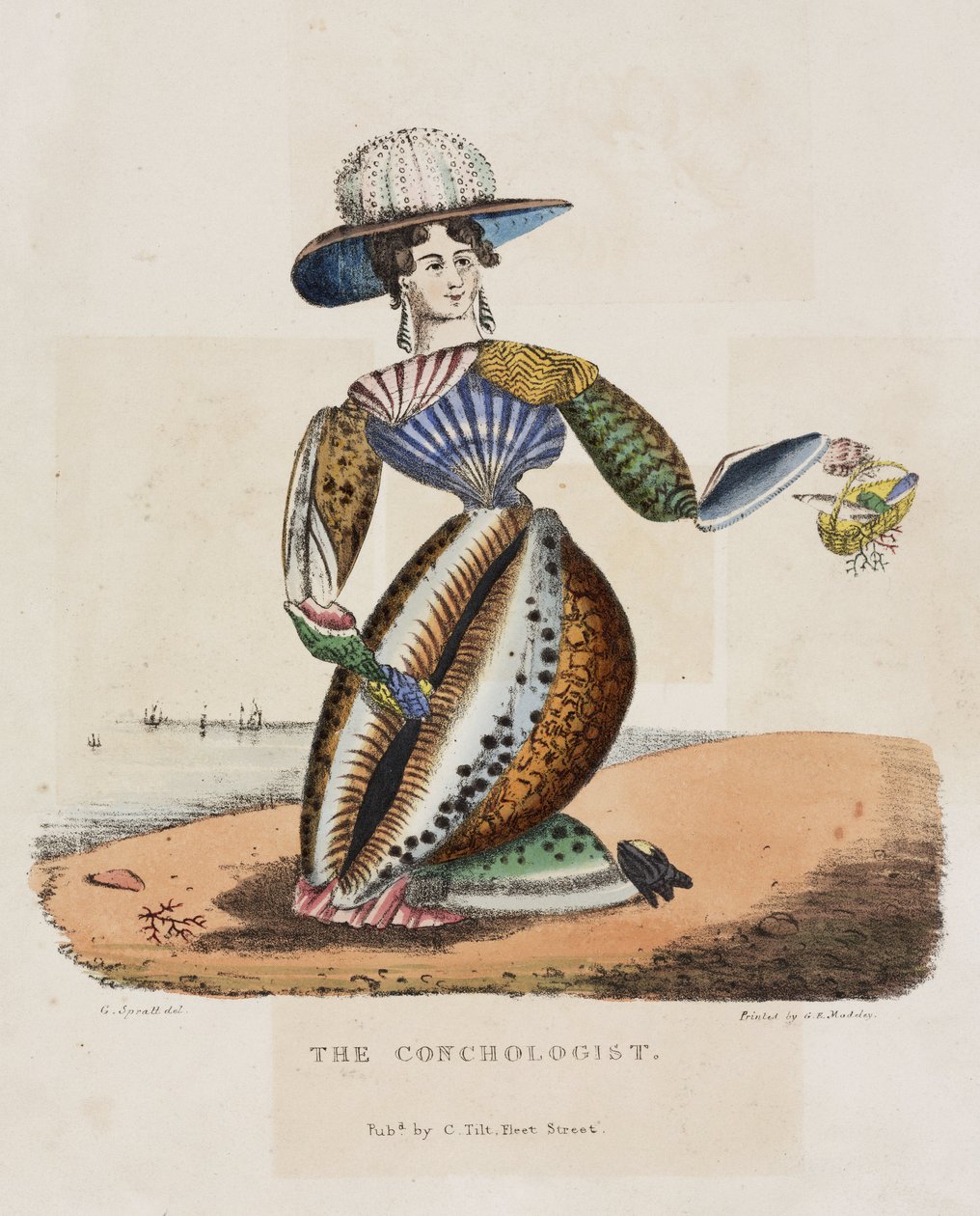 Le conchyliologiste, vers 1831 - Unbekannt