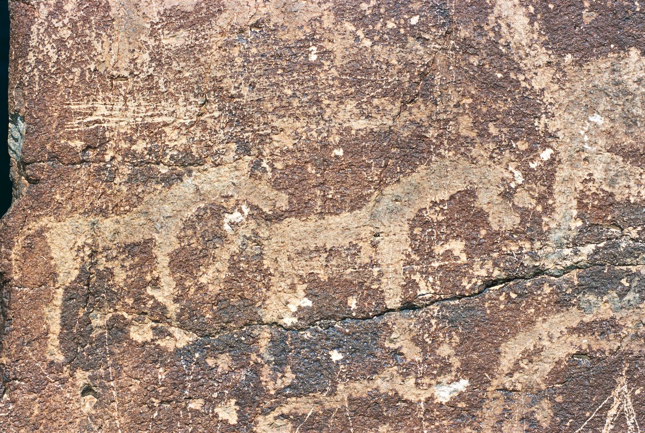 Mongolie, désert de Gobi, gravure rupestre - Benjamin Baud